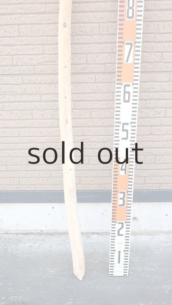 画像5: 棒流木・長尺 (5)