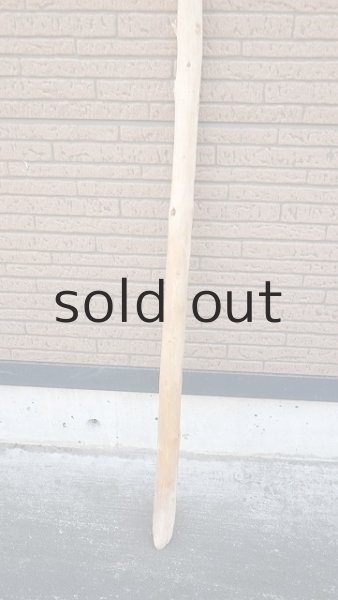 画像2: 棒流木・長尺 (2)