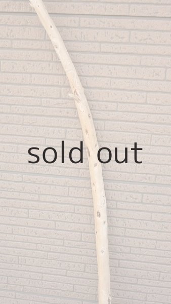 画像3: 棒流木・長尺 (3)