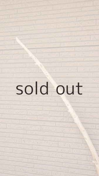 画像4: 棒流木・長尺 (4)