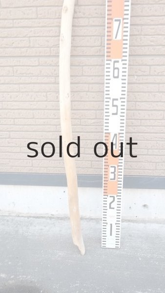 画像5: 棒流木・長尺 (5)