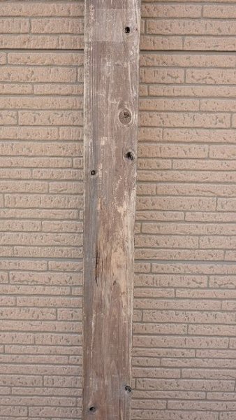 画像3: 大型 板 (3)