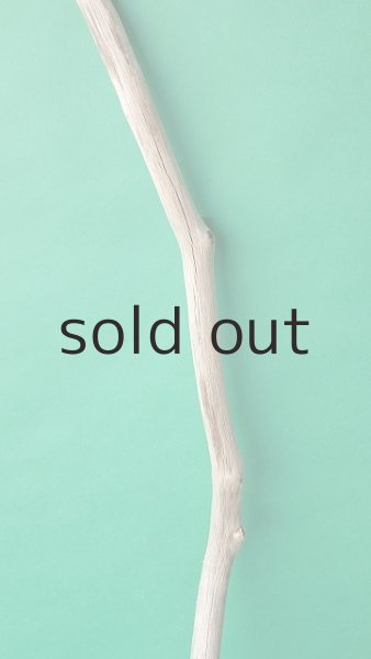 画像3: 枝流木 (3)