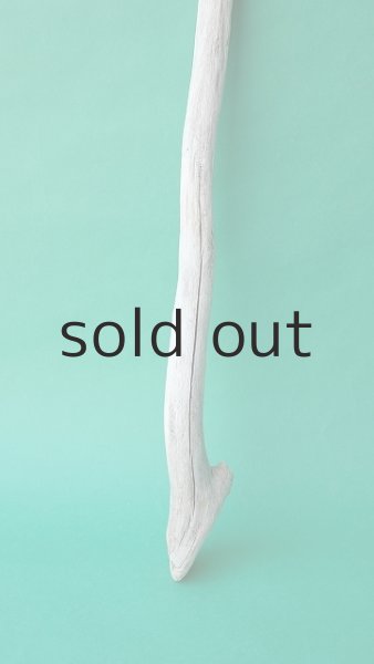 画像2: 枝流木 (2)