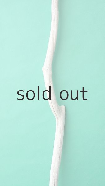 画像3: 枝流木 (3)