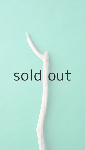 画像4: 枝流木 (4)