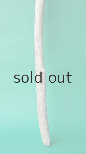 画像2: 枝流木 (2)