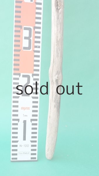 画像5: 枝流木 (5)