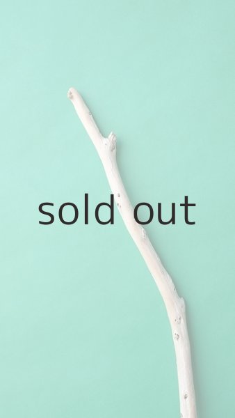 画像4: 枝流木 (4)