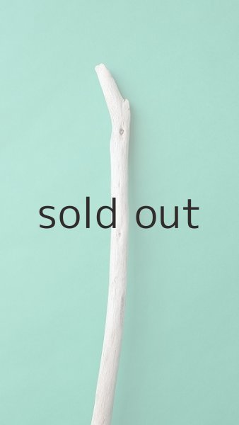 画像4: 枝流木 (4)