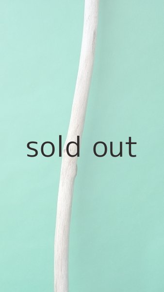 画像3: 枝流木 (3)