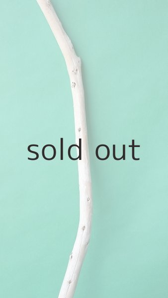 画像3: 枝流木 (3)