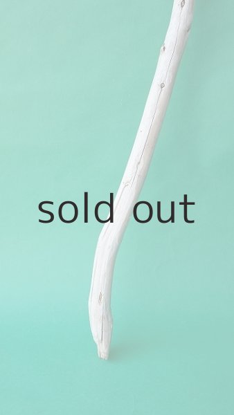 画像2: 枝流木 (2)