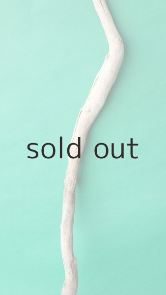 画像3: 枝流木 (3)