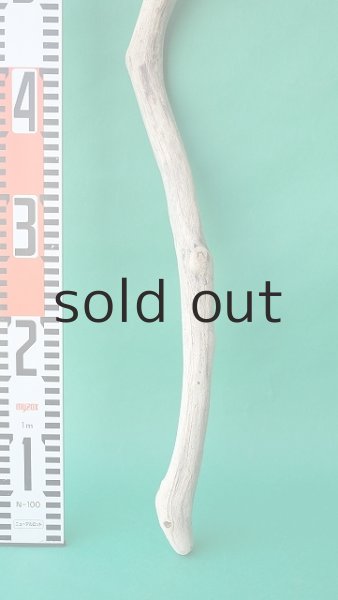 画像5: 枝流木 (5)