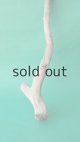 画像2: 枝流木 (2)