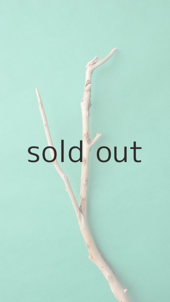 画像4: 幹流木 (4)