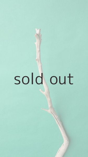 画像4: 枝流木 (4)