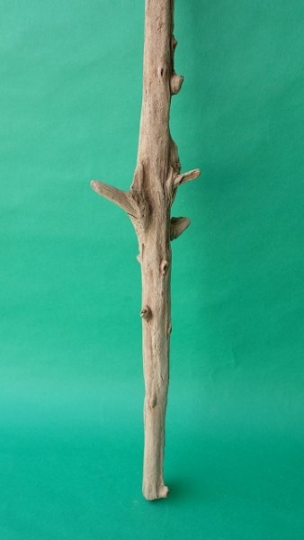 画像3: 枝流木 (3)