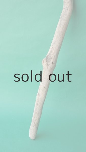 画像2: 枝流木 (2)