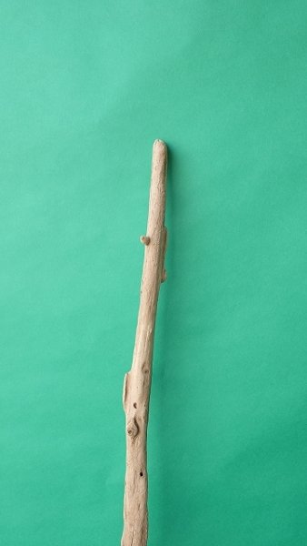 画像4: 枝流木 (4)