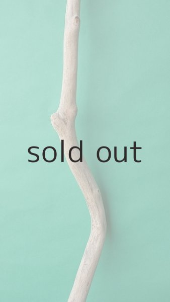 画像3: 枝流木 (3)