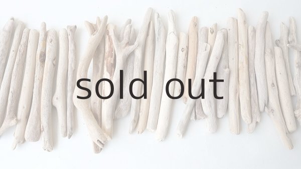 画像3: 小枝流木セット (3)