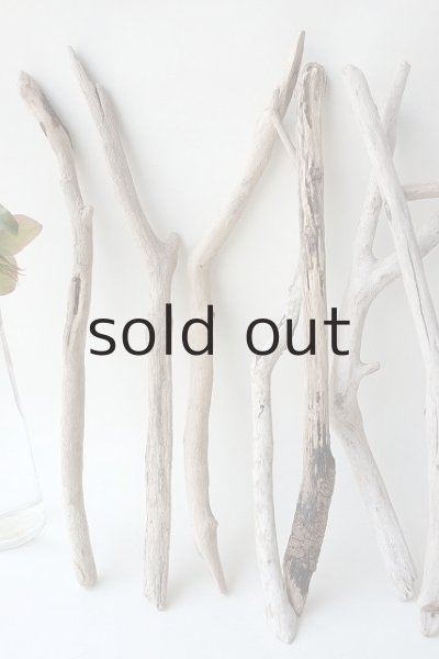 画像2: 小枝流木セット (2)