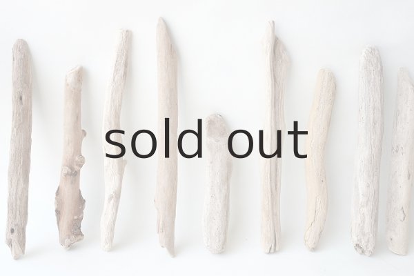 画像5: 小枝流木セット (5)