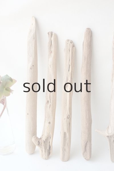 画像2: 小枝流木セット (2)