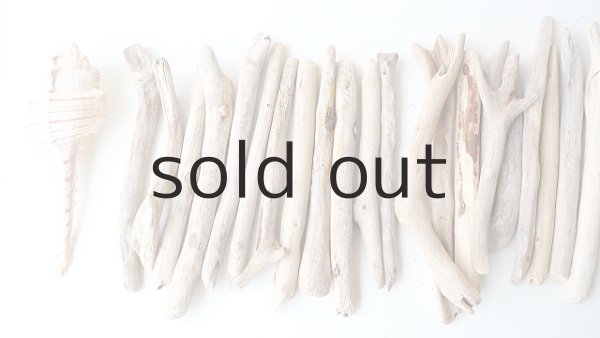 画像2: 小枝流木セット (2)