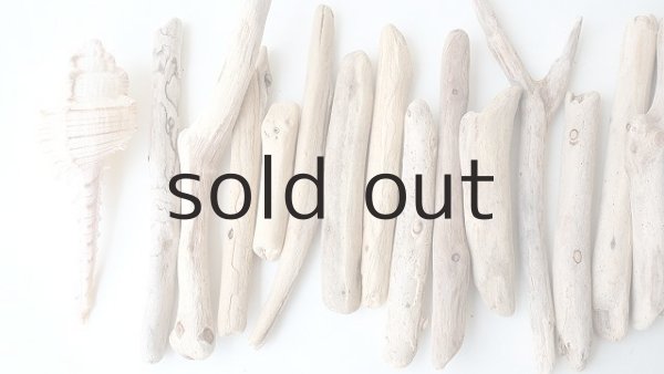 画像2: 小枝流木セット (2)