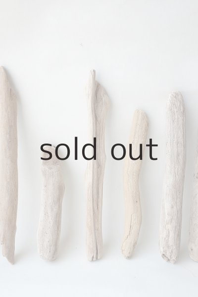 画像4: 小枝流木セット (4)