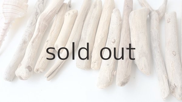 画像5: 小枝流木セット (5)