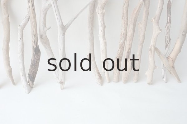 画像5: 小枝流木セット (5)