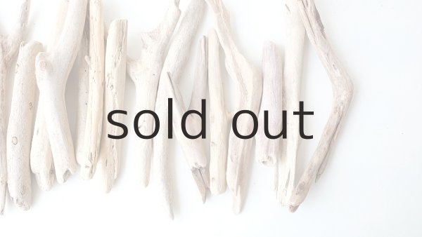 画像4: 小枝流木セット (4)