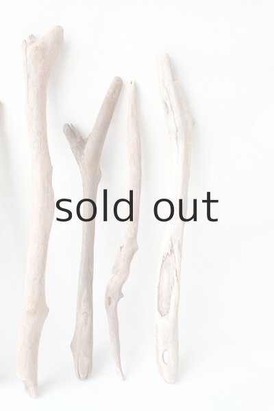 画像5: 小枝流木セット (5)