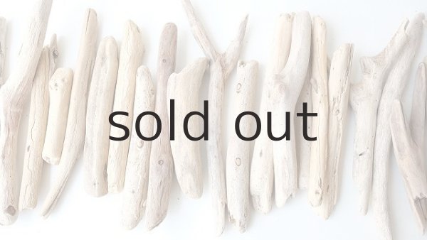 画像3: 小枝流木セット (3)