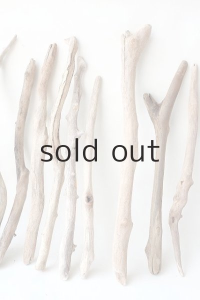 画像4: 小枝流木セット (4)