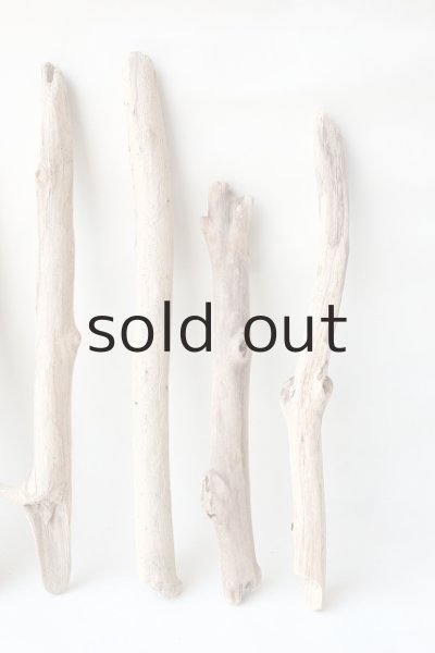 画像4: 小枝流木セット (4)