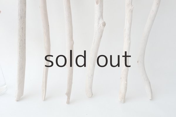 画像2: 小枝流木セット (2)