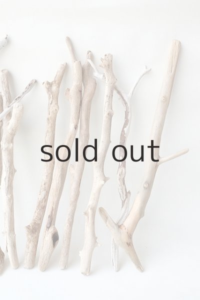 画像4: 小枝流木セット (4)