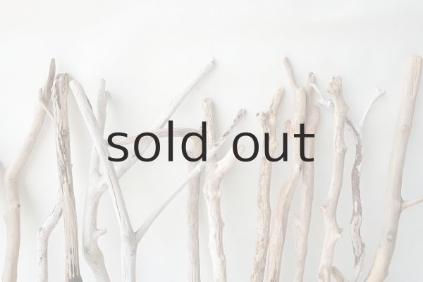 画像6: 小枝流木セット (6)