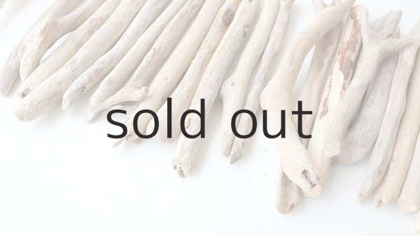 画像5: 小枝流木セット (5)