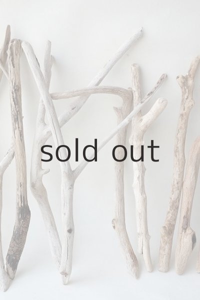 画像3: 小枝流木セット (3)