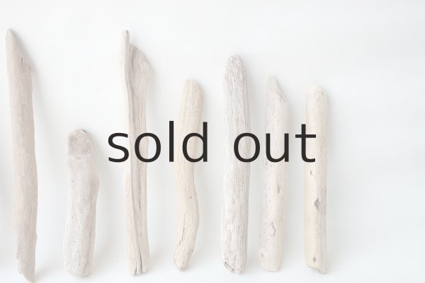 画像6: 小枝流木セット (6)