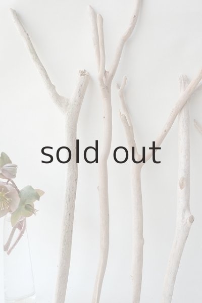 画像4: 小枝流木セット (4)