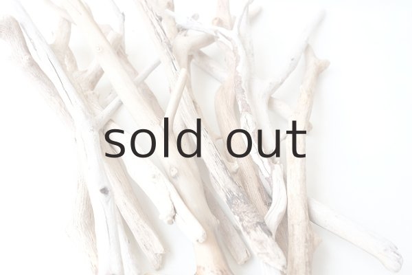 画像7: 小枝流木セット (7)