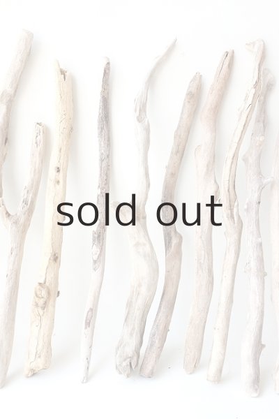 画像3: 小枝流木セット (3)