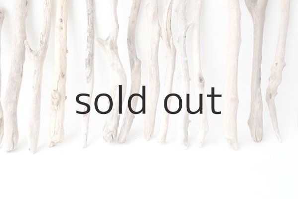 画像6: 小枝流木セット (6)